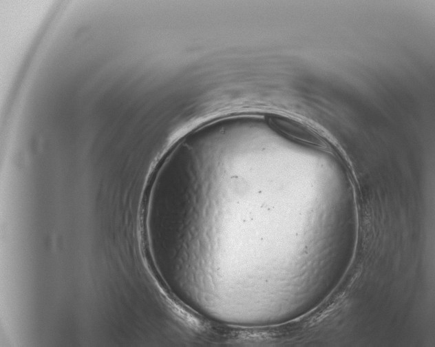 X0000059801525200510281625