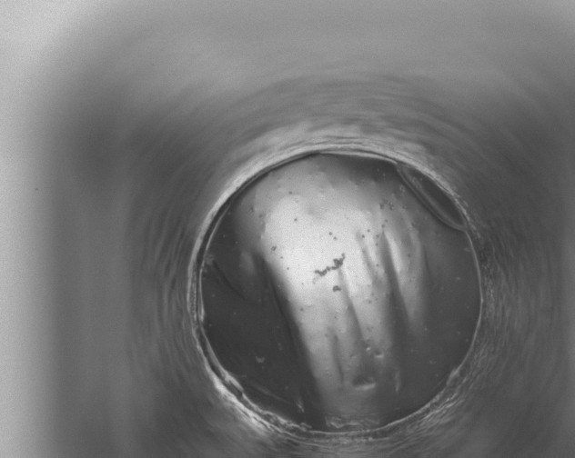 X0000059801527200510281625