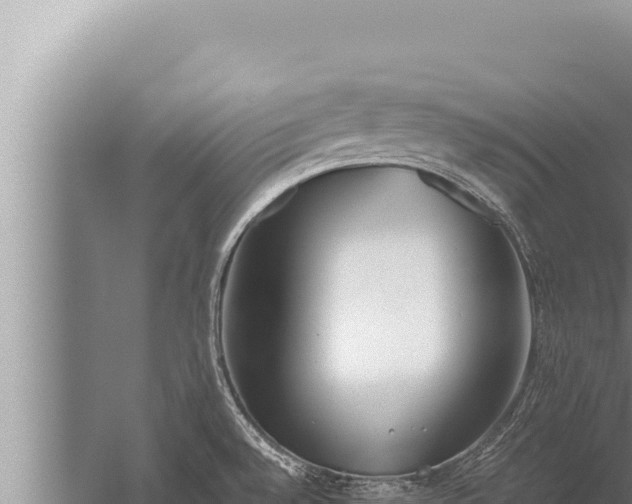 X0000059801528200510281625