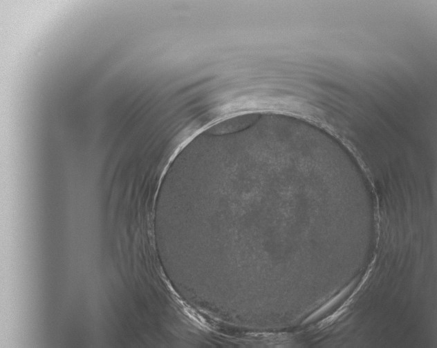 X0000059801529200510281625