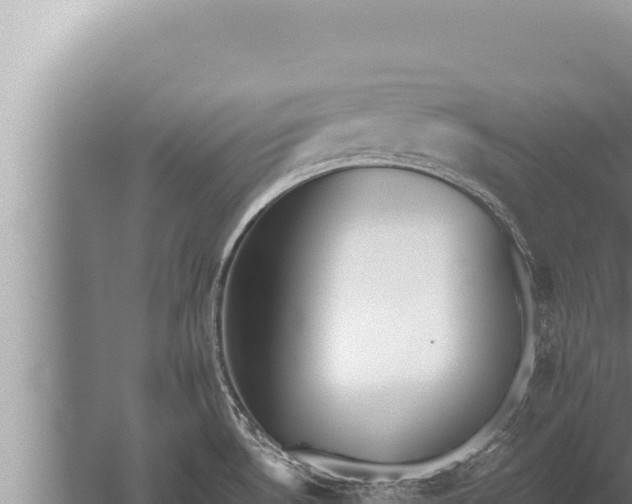 X0000059801530200510281625