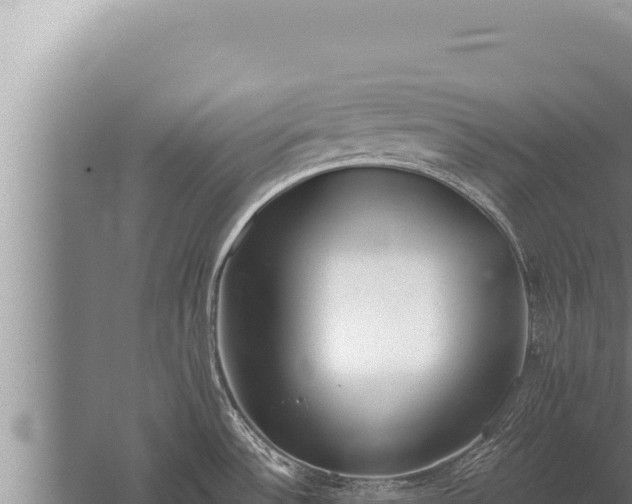 X0000059801532200510281625