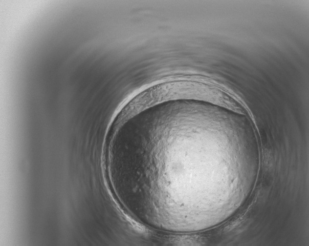 X0000059801533200510281625