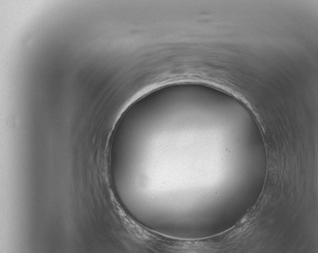 X0000059801534200510281625