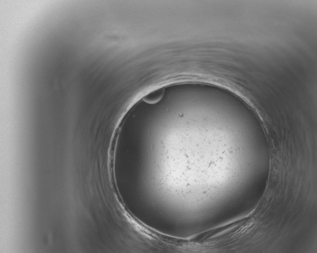 X0000059801535200510281625