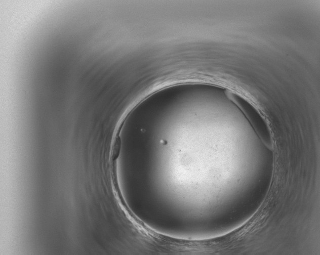 X0000059801536200510281625