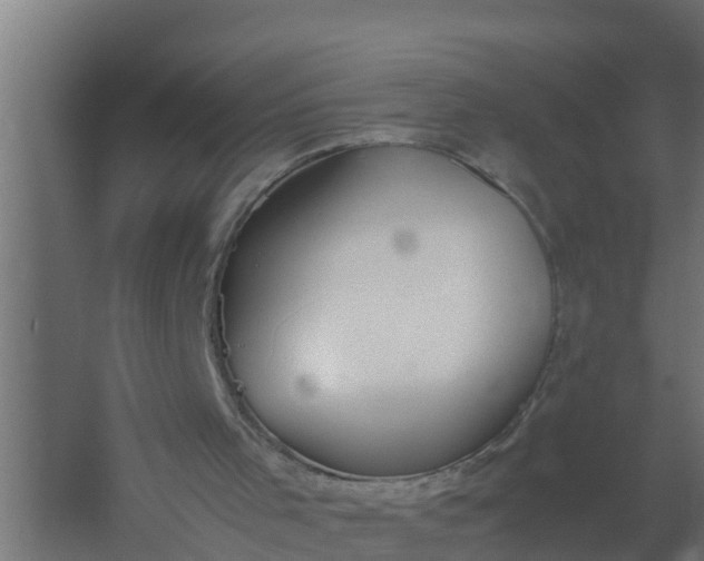 X0000059800001200511041639