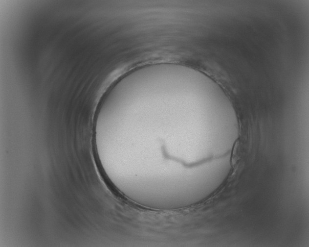 X0000059800003200511041639