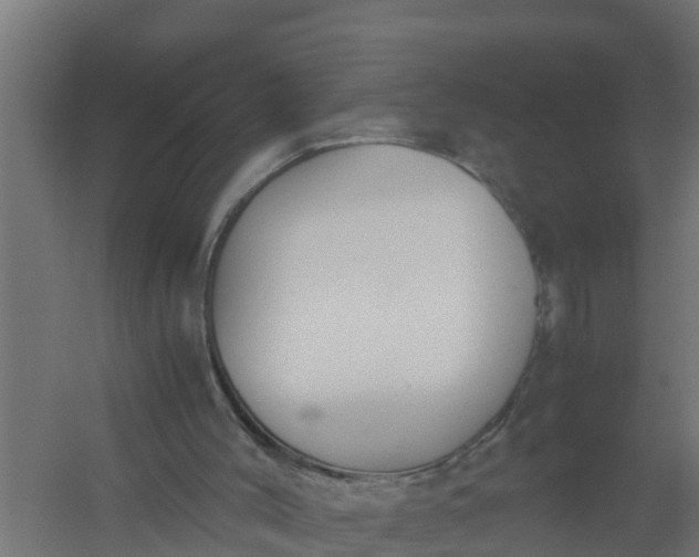 X0000059800004200511041639