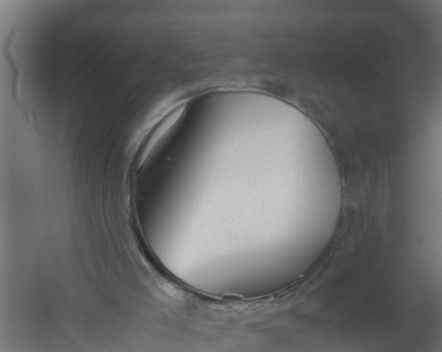 X0000059800005200511041639