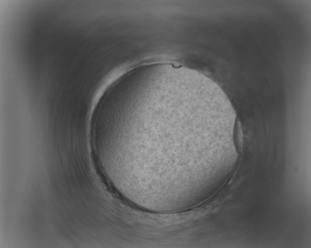 X0000059800006200511041639