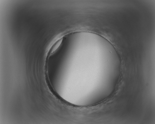 X0000059800007200511041639