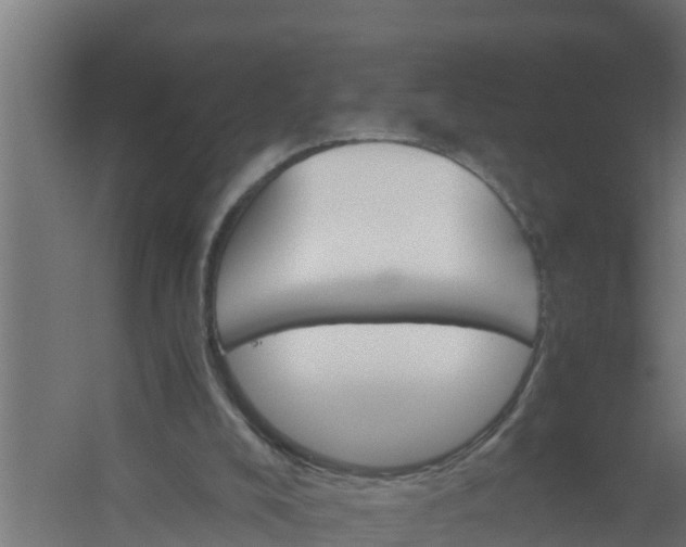 X0000059800008200511041639