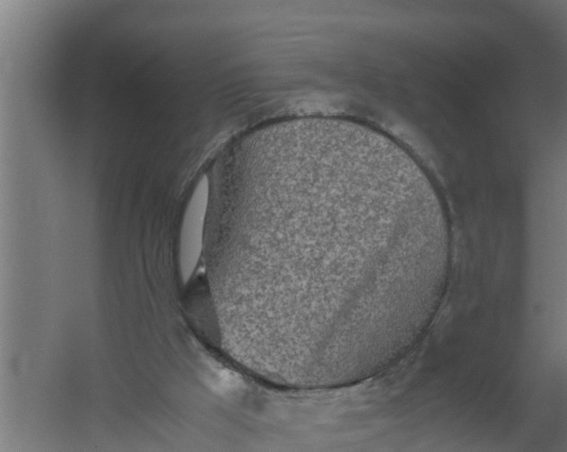 X0000059800009200511041639