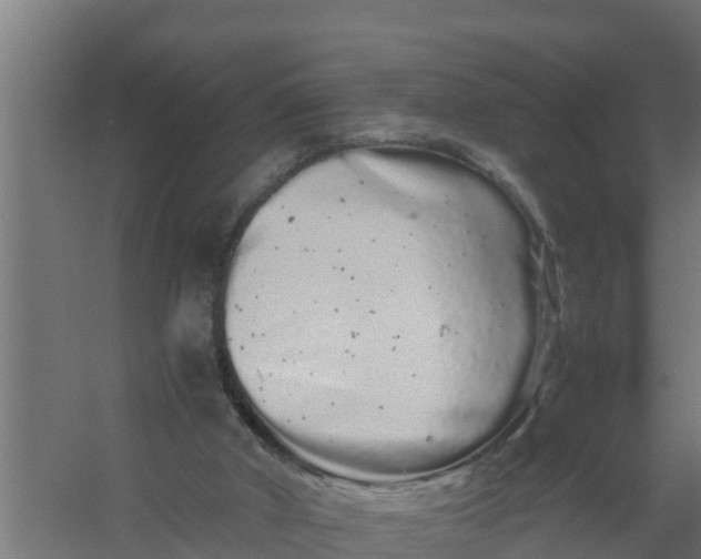 X0000059800010200511041639