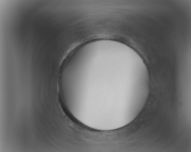 X0000059800011200511041639