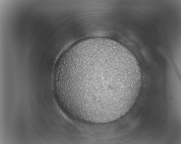 X0000059800012200511041639