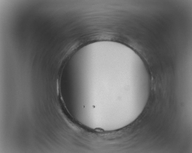 X0000059800013200511041639