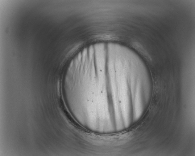 X0000059800014200511041639