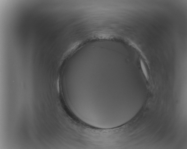 X0000059800019200511041639