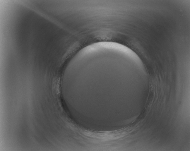 X0000059800023200511041639