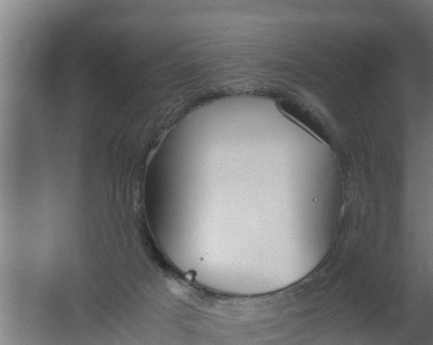 X0000059800025200511041639