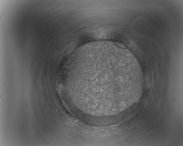 X0000059800029200511041639