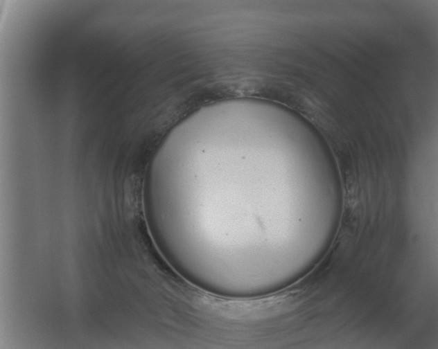 X0000059800030200511041639