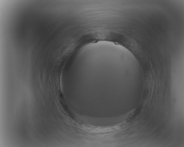 X0000059800031200511041639