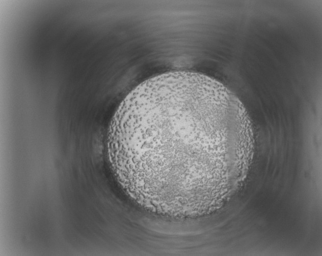 X0000059800032200511041639