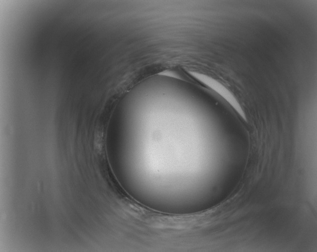 X0000059800033200511041639