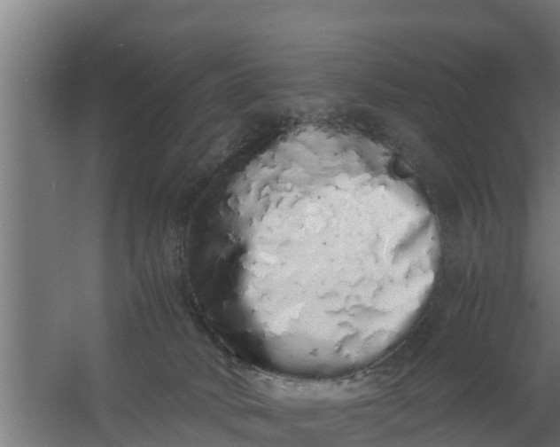 X0000059800034200511041639