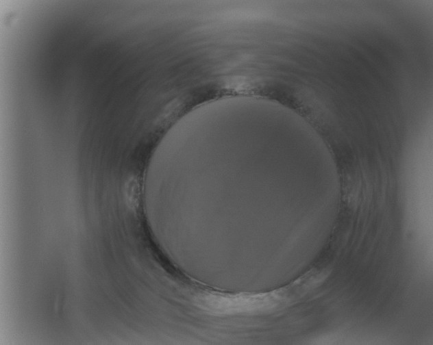 X0000059800036200511041639