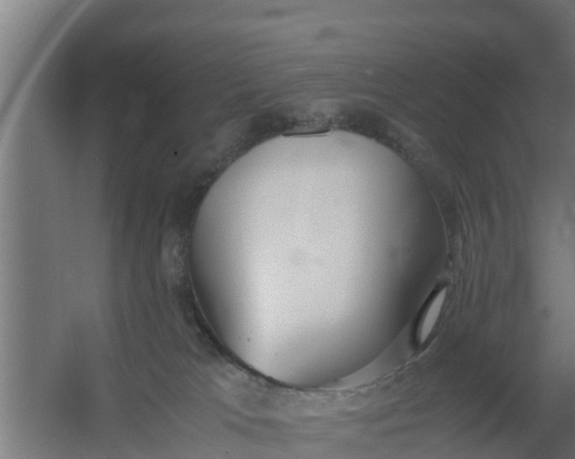 X0000059800037200511041639