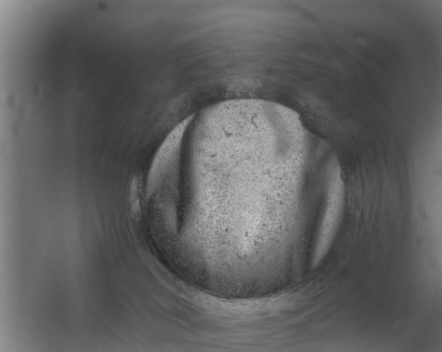 X0000059800038200511041639