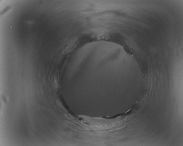 X0000059800039200511041639