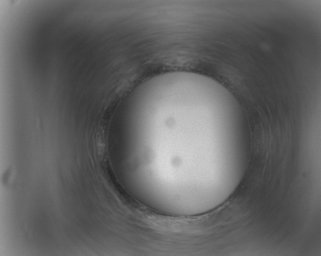 X0000059800040200511041639