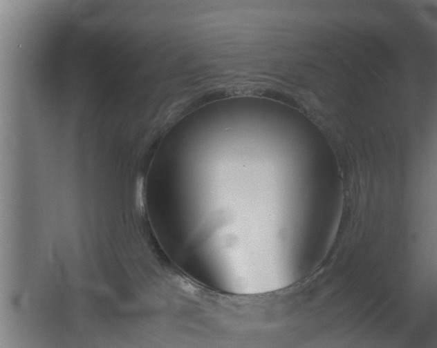 X0000059800041200511041638