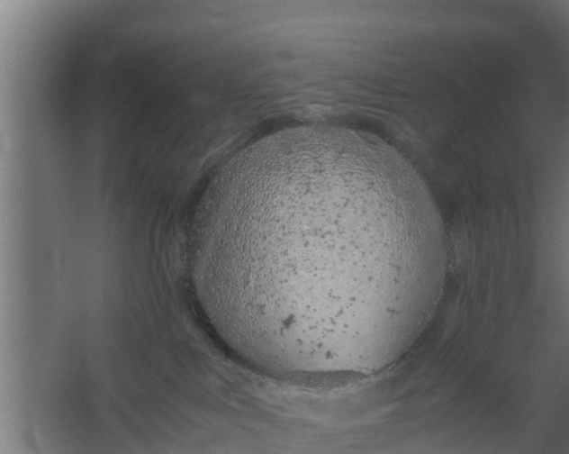 X0000059800043200511041638