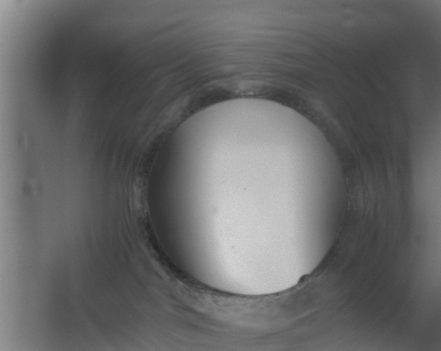 X0000059800044200511041638