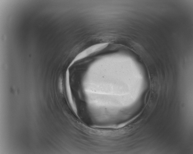 X0000059800046200511041638