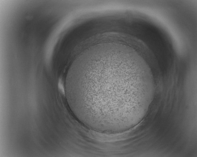 X0000059800047200511041638