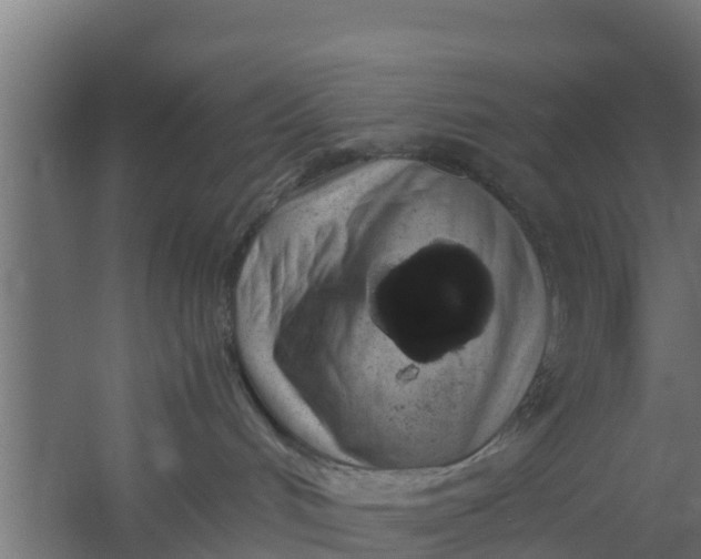 X0000059800048200511041638