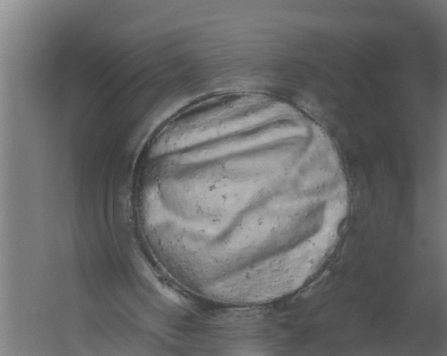 X0000059800050200511041638