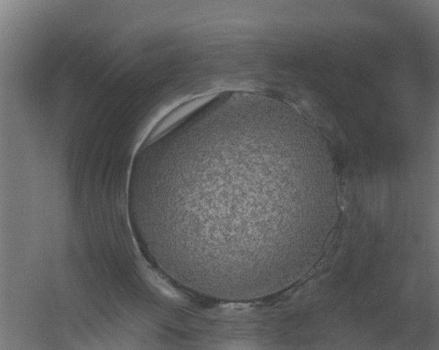 X0000059800052200511041638