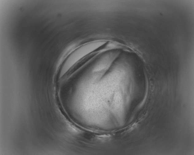 X0000059800053200511041638