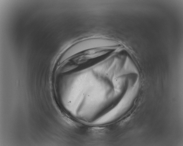 X0000059800055200511041638