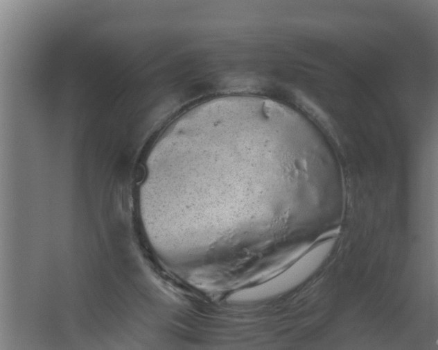 X0000059800059200511041638