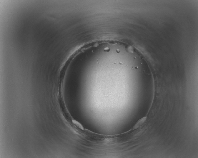 X0000059800060200511041638