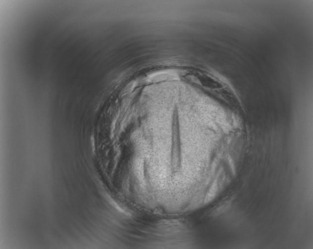 X0000059800061200511041638